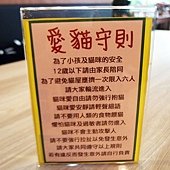 屏東 ─ 宅貓咖啡