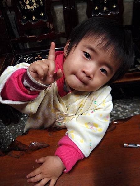 大象馬戲團