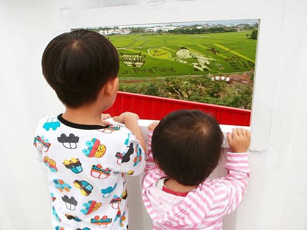 屏東彩稻生活節