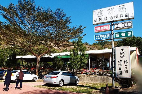 張媽媽梅子雞