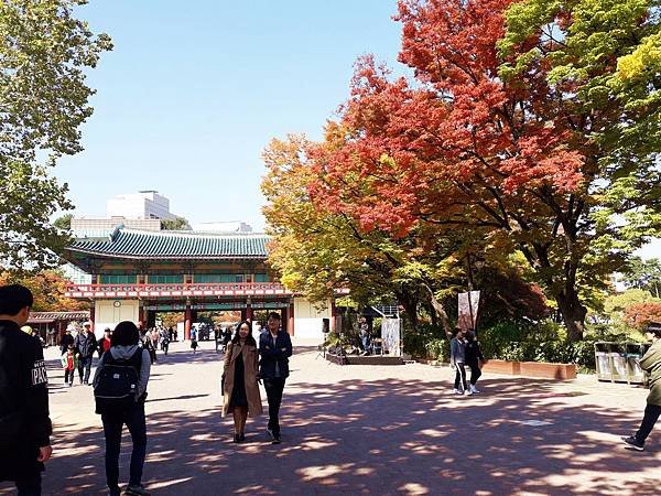 20181020_112829.jpg