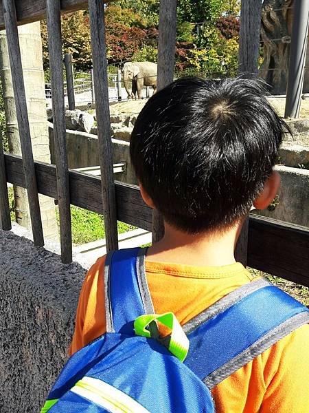 20181020_105330.jpg