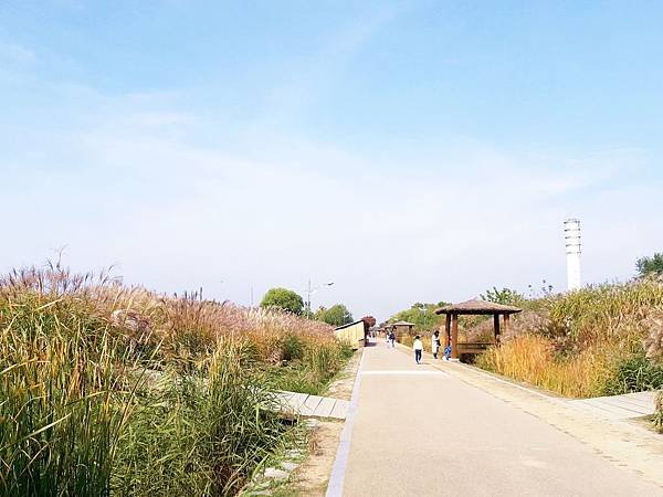 20181022_103646.jpg