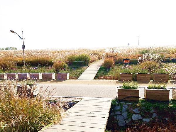 20181022_103456.jpg
