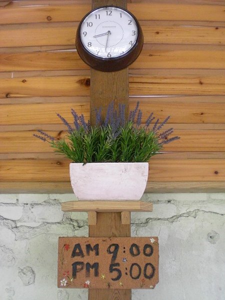 CIMG6804.JPG