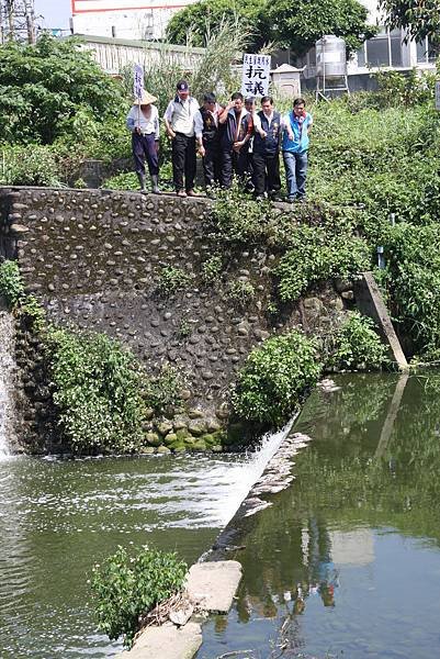 桃.市長陳萬得、縣議員鄧仁艾帶著農民在死魚處處的溪畔，要求有司早日還老街溪【清白】」。.jpg