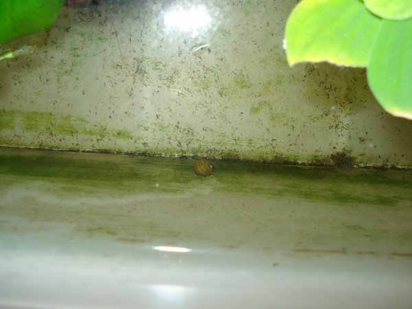DSC07697.JPG