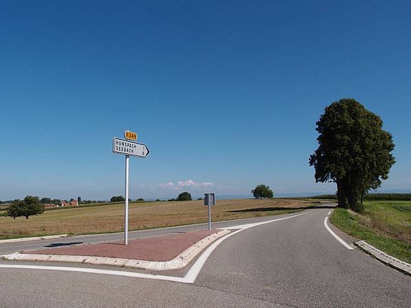 P8181956.JPG