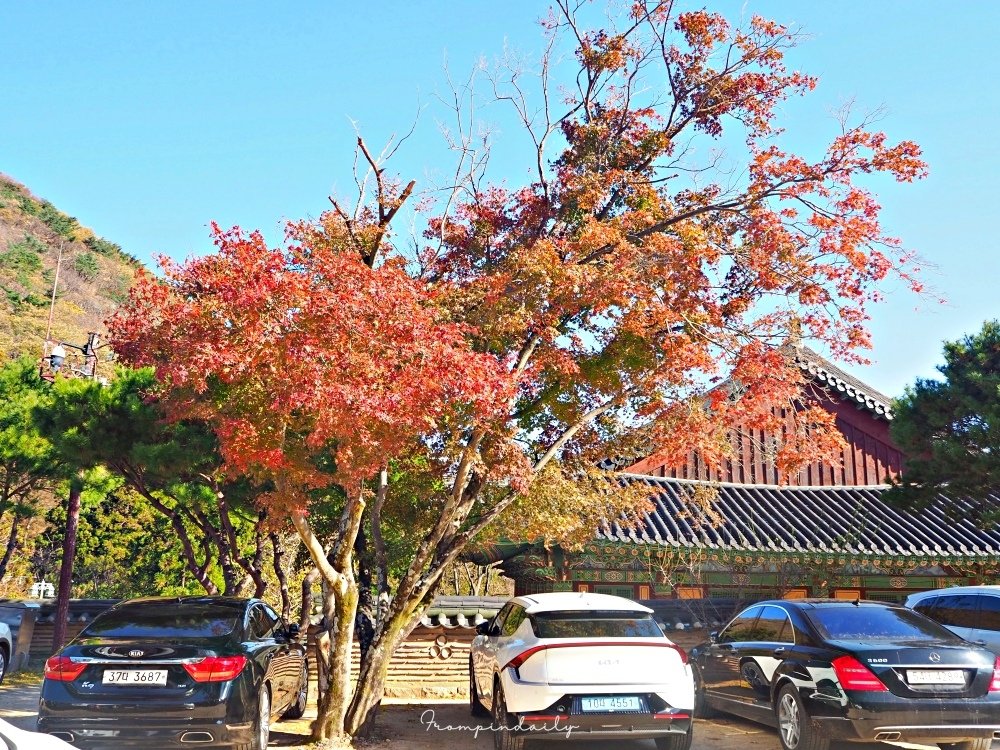 梵魚寺