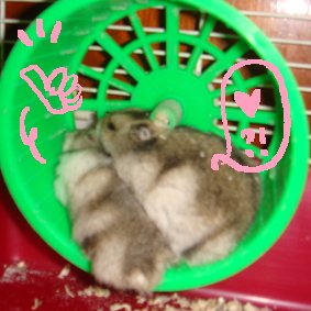 10.JPG