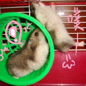 18.JPG