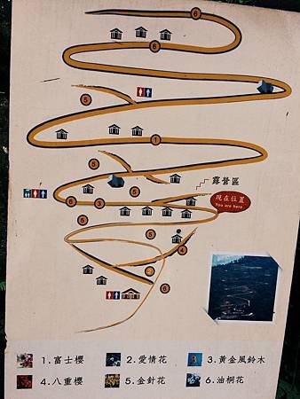 IMG_3087.JPG