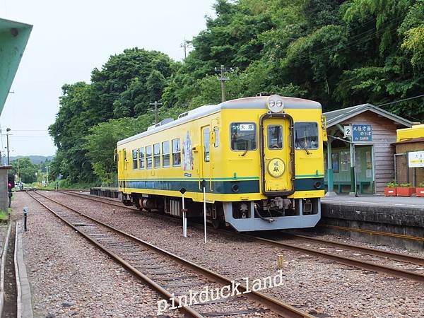 2015日本遊D28千葉縣 夷隅鐵道 慕敏列車 一日遊