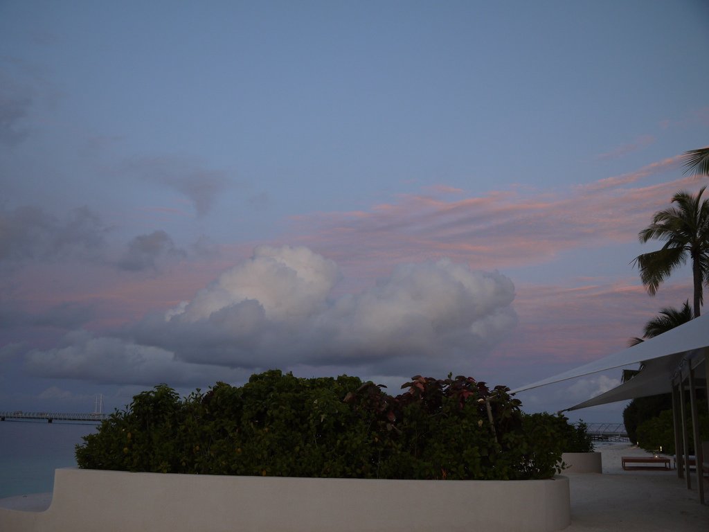 P1020535.JPG