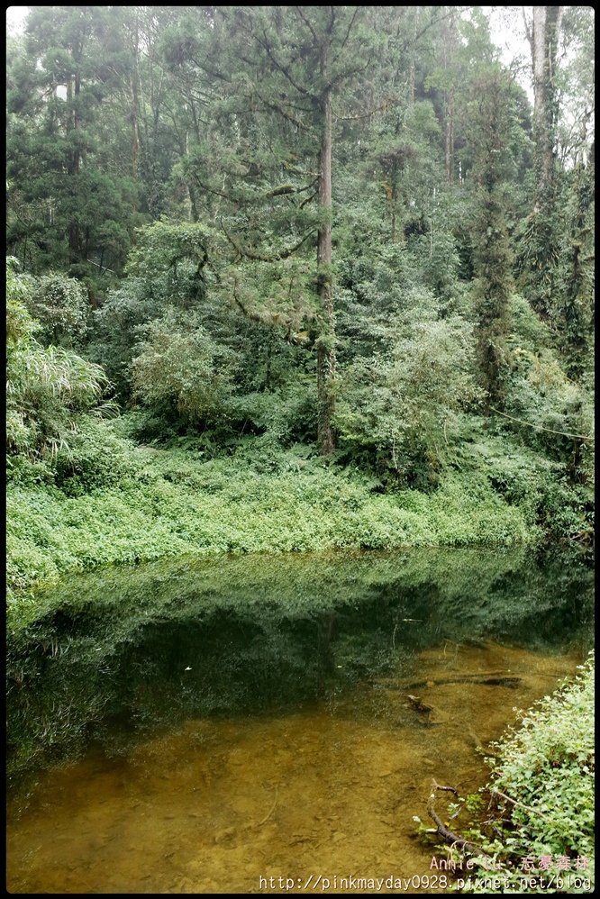 R0000274.JPG
