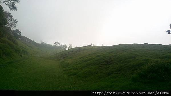 13921002_1291723637512222_6710257541130151635_n.jpg