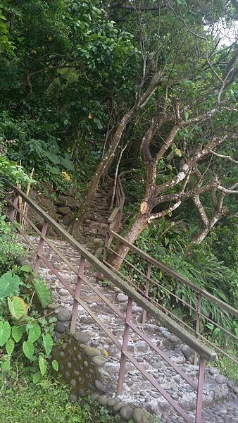 IMAG0257.jpg