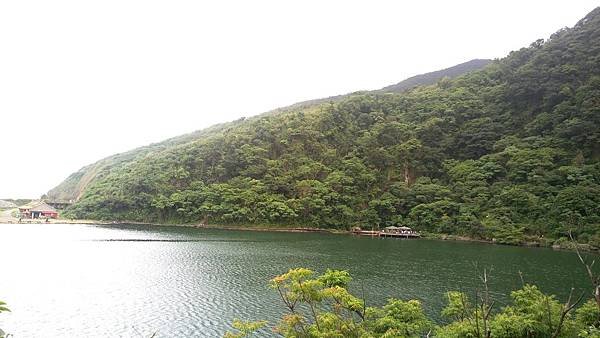 IMAG0252_1.jpg
