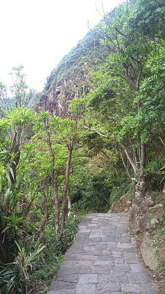IMAG0243_1.jpg