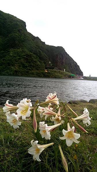 IMAG0228_1.jpg