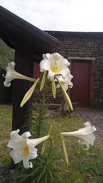 IMAG0211.jpg