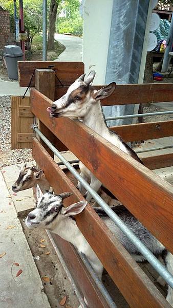 IMAG0379_1.jpg