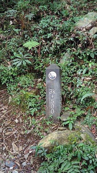 IMAG2176_1.jpg