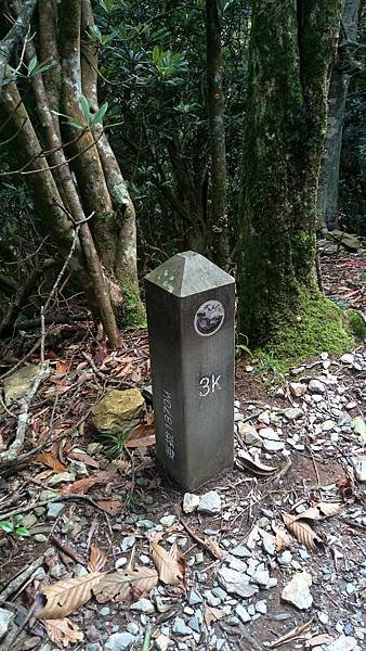 IMAG2175_1.jpg