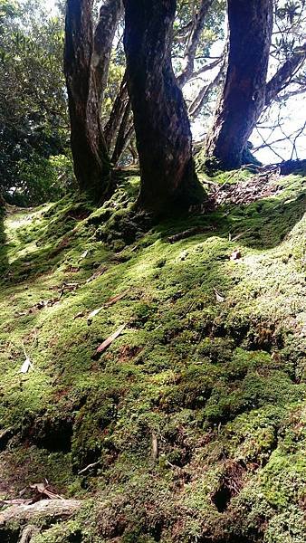 IMAG2171_1.jpg
