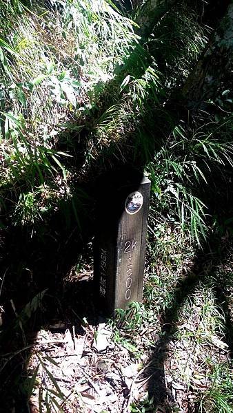 IMAG2165_1.jpg