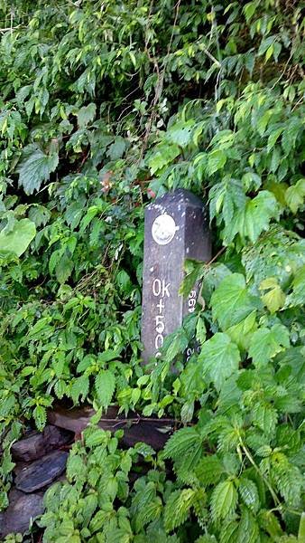 IMAG2142_1.jpg