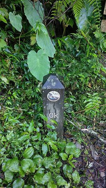 IMAG2138_1.jpg