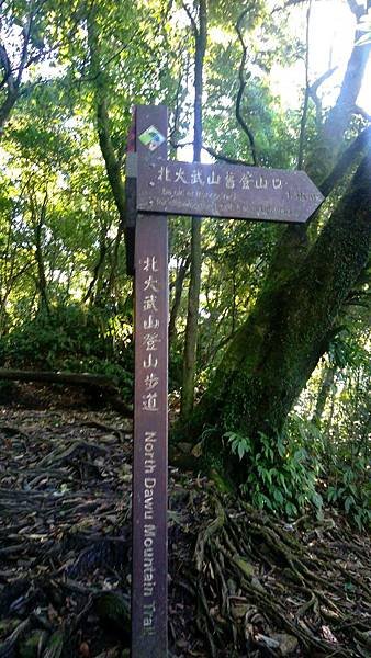 IMAG2132_1.jpg