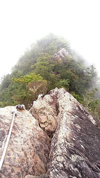 IMAG2430_1.jpg