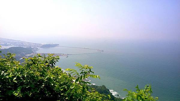 IMAG2542_1.jpg
