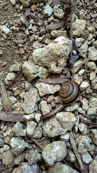 IMAG2539_1.jpg