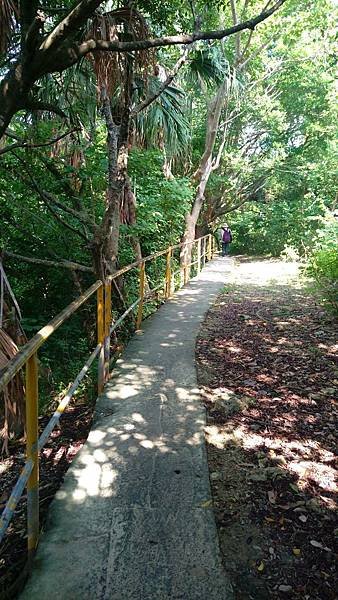 IMAG2516_1.jpg