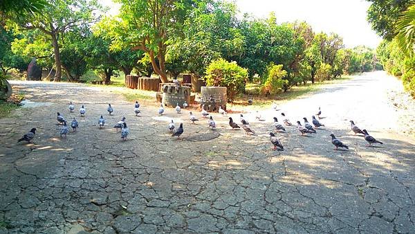 IMAG3603_1.jpg