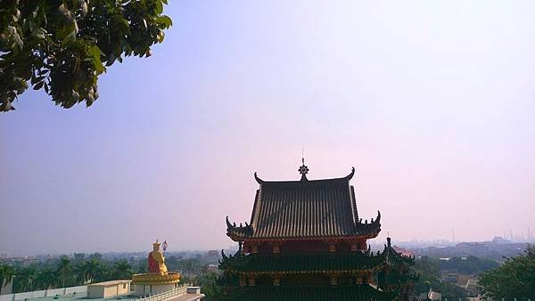 IMAG3594_1.jpg