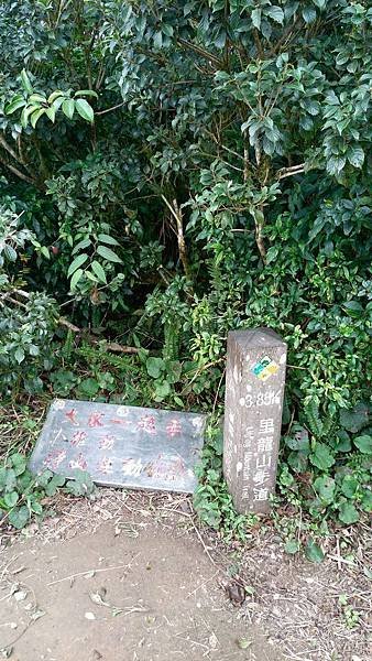 IMAG3713_1.jpg