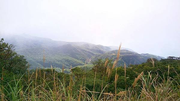 IMAG3692_1.jpg