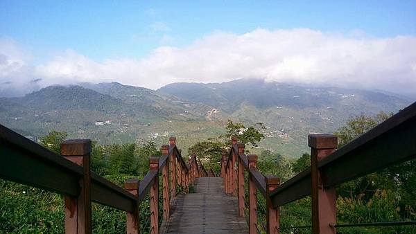 IMAG3956_1.jpg