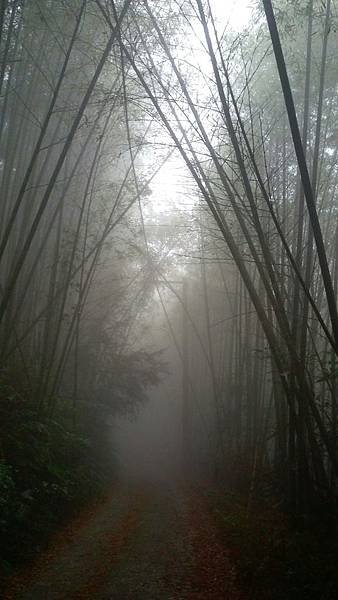 IMAG3915_1.jpg