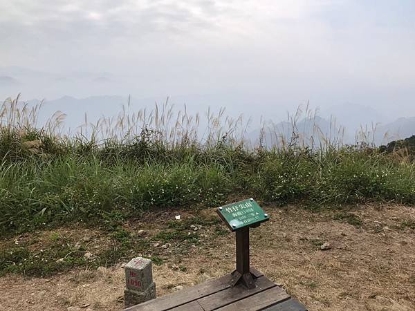 line_69715965212310.jpg