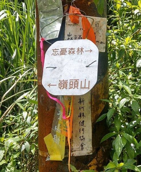 line_6032165606498~2.jpg