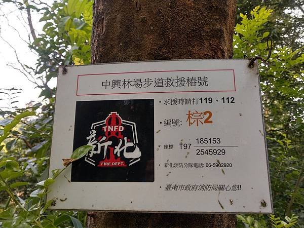 line_13387295696661.jpg