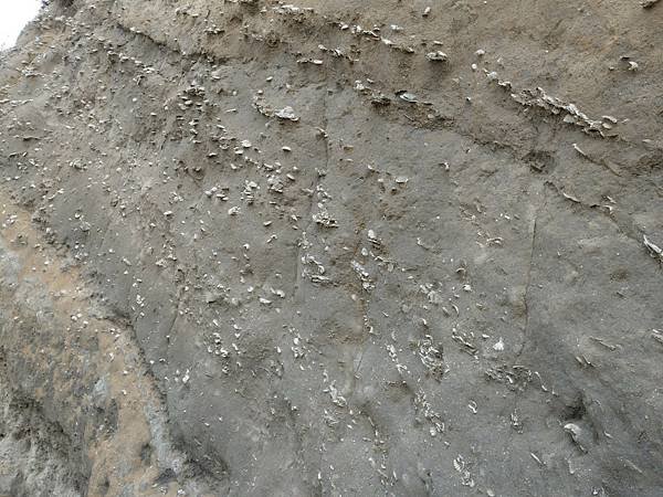 line_81497828684534.jpg