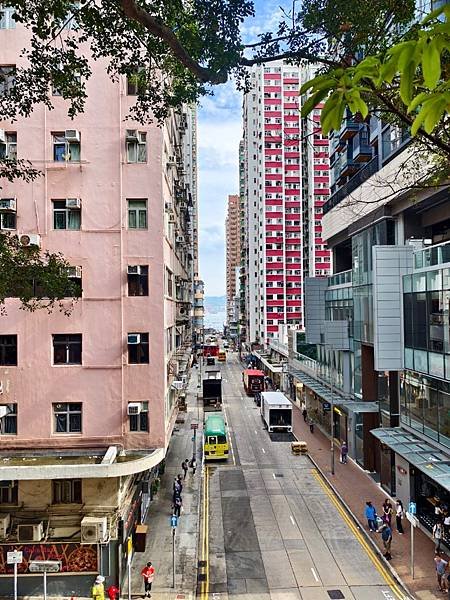 香港網紅點踩踩～無敵海景Cafe % arabica 、百年
