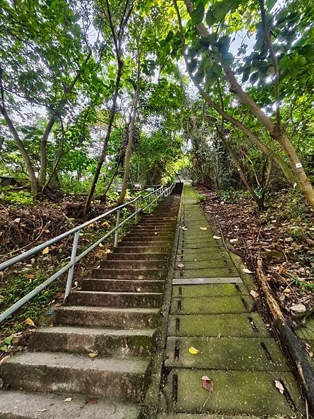 香港玩點不一樣～不坐纜車上太平山觀景台、站在「西高山」上看香