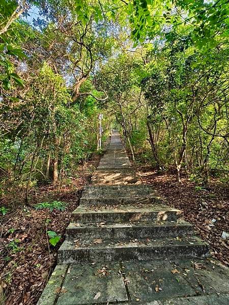 深圳～求水山公園